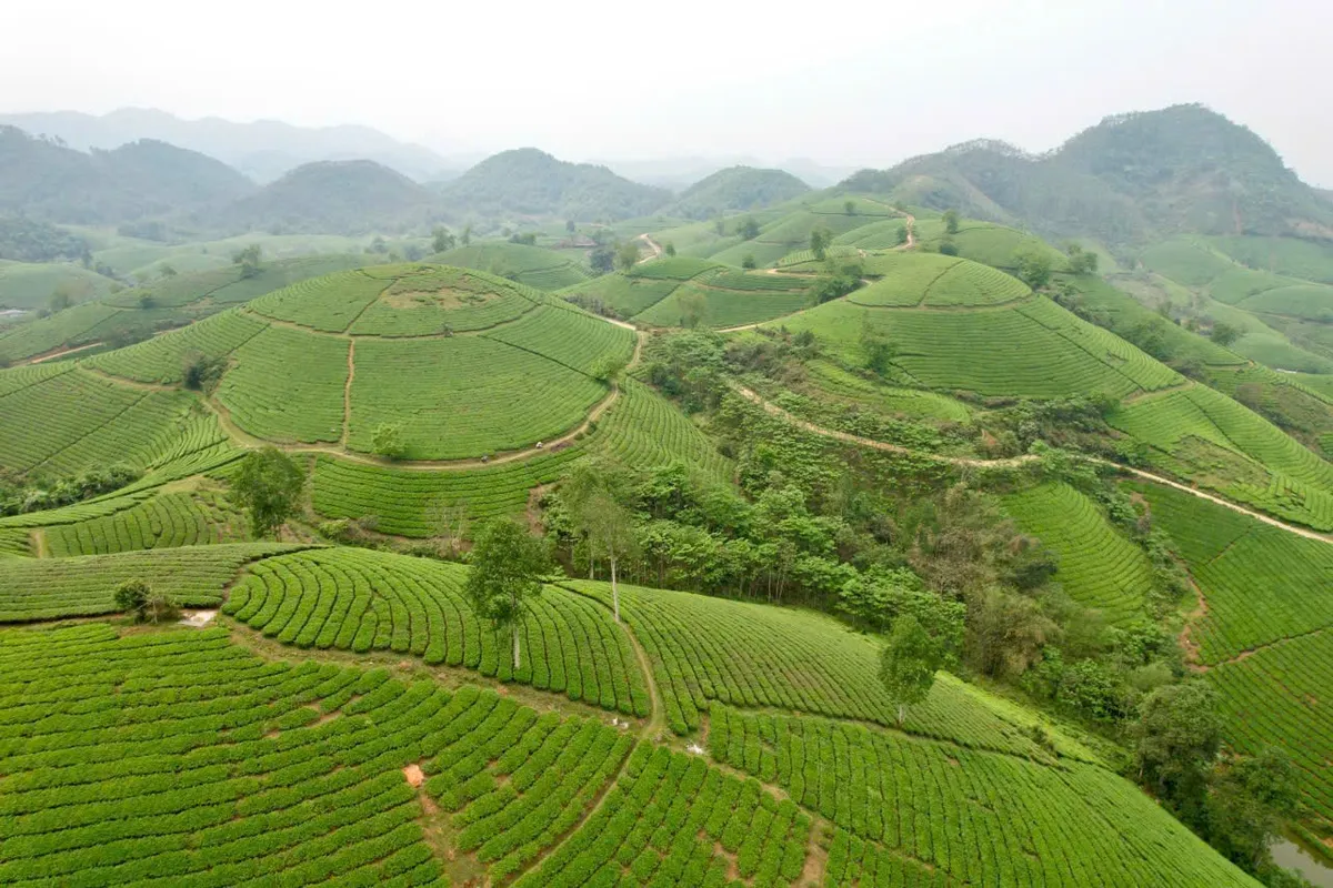 Ph&uacute; Thọ l&agrave;m mới du lịch về nguồn bằng h&agrave;nh tr&igrave;nh kết nối di sản đa sắc- Ảnh 3.