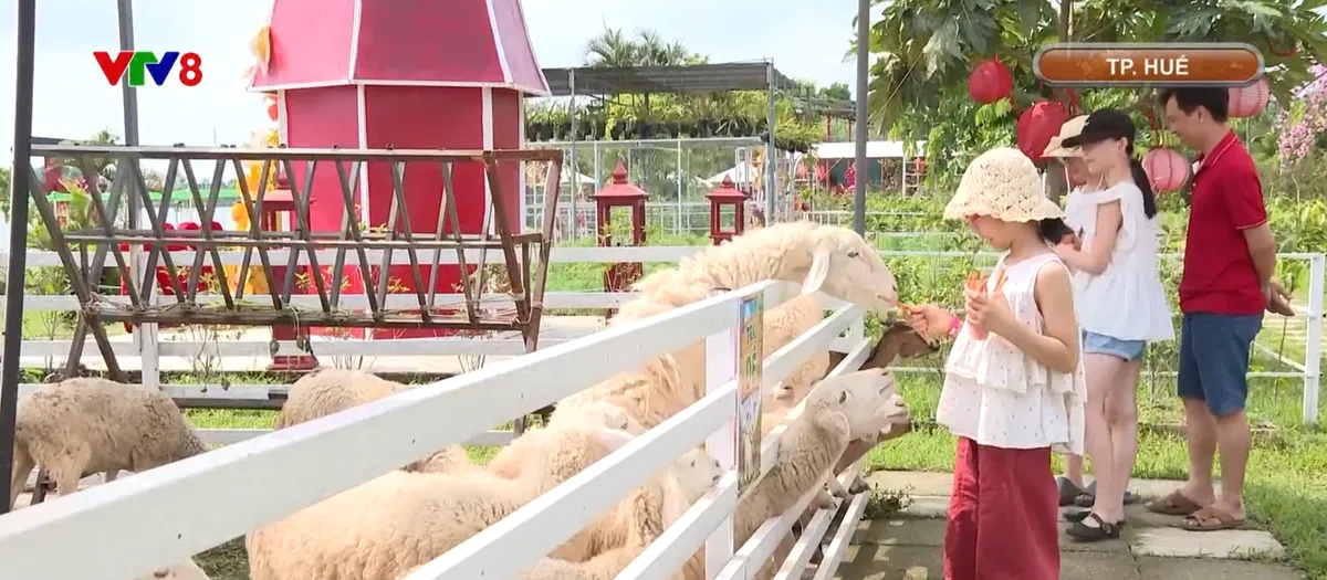 Du lịch n&ocirc;ng trại thu h&uacute;t kh&aacute;ch dịp nghỉ lễ- Ảnh 2.