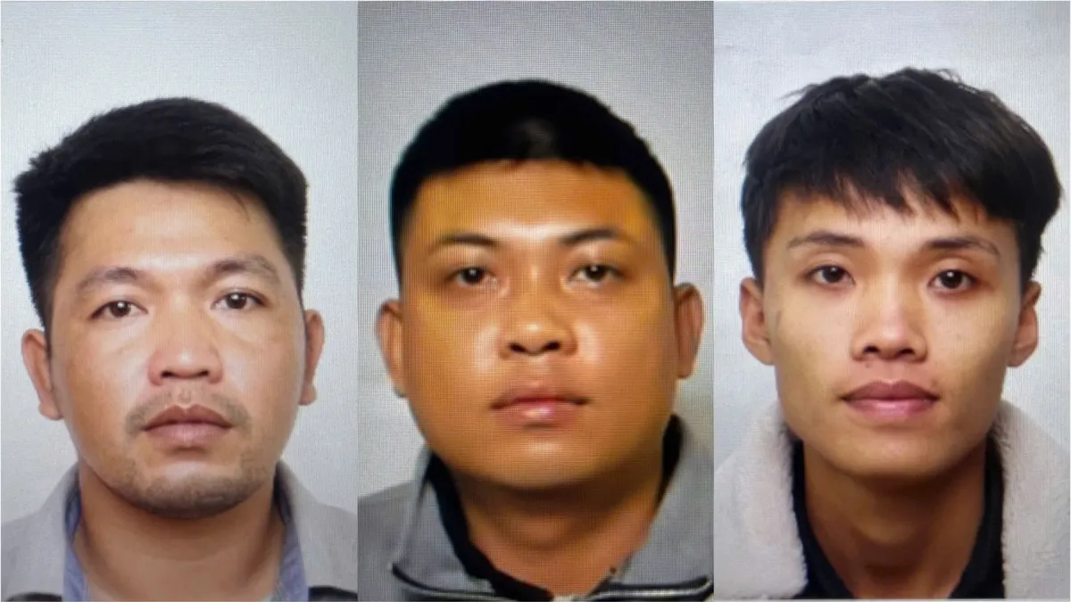 Ninh B&igrave;nh triệt ph&aacute; nh&oacute;m chuy&ecirc;n trộm cắp d&acirc;y c&aacute;p điện chiếu s&aacute;ng- Ảnh 1.