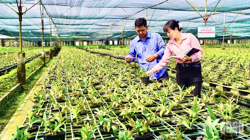 Ứng dụng số - xu hướng tất yếu ph&aacute;t triển n&ocirc;ng nghiệp đ&ocirc; thị
- Ảnh 1.