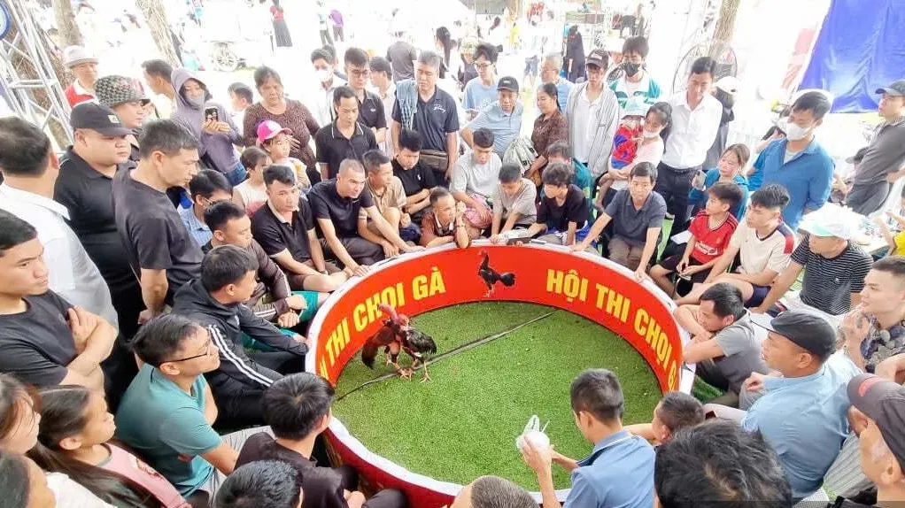 Ninh B&igrave;nh: Rực rỡ sắc m&agrave;u văn h&oacute;a, thể thao truyền thống tại Lễ hội Hoa Lư năm 2026 - Ảnh 2.
