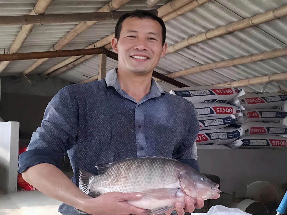 Xuất khẩu c&aacute; r&ocirc; phi v&agrave;o đ&agrave; tăng xuất khẩu nhưng năng suất nu&ocirc;i chưa theo kịp
- Ảnh 1.