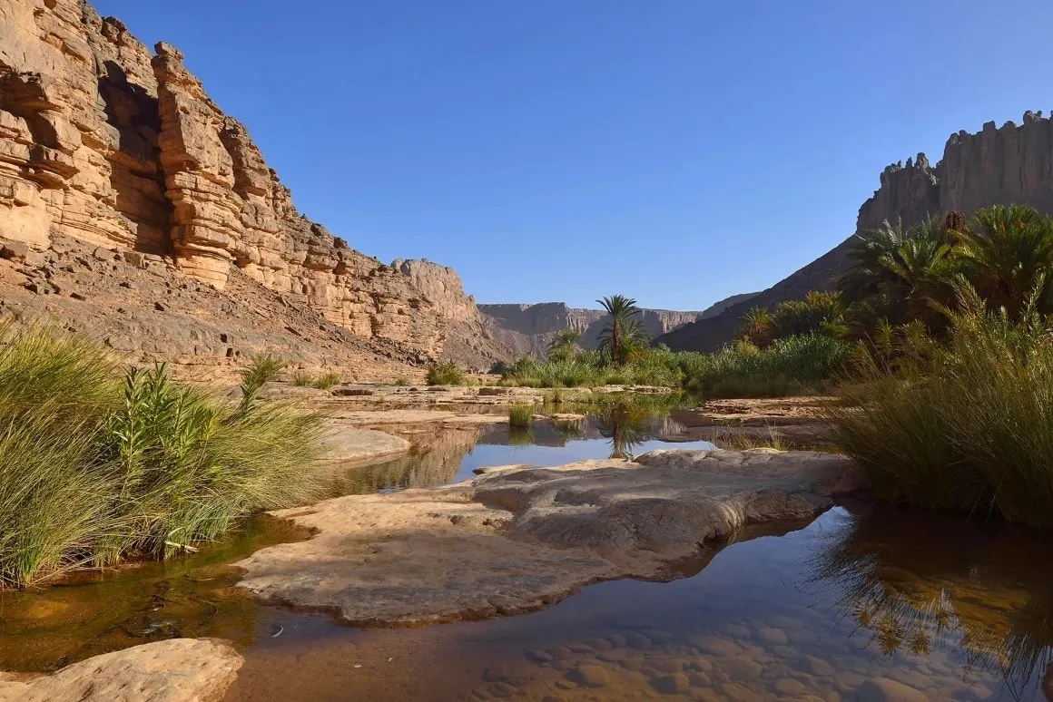 Đưa &ldquo;biển c&aacute;t&rdquo; Sahara th&agrave;nh điểm đến to&agrave;n cầu- Ảnh 1.