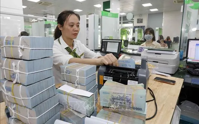 Ảnh minh họa: Trần Việt/TTXVN