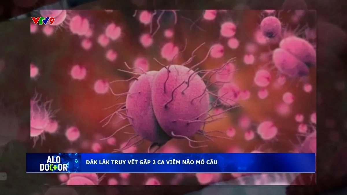 Alo Doctor (28/4/2026): Đắk Lắk truy vết gấp 2 ca não mô cầu