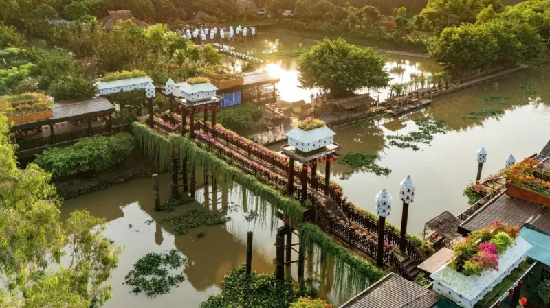 Tr&agrave; Sư: Nơi du kh&aacute;ch t&igrave;m lại nhịp chậm giữa miền sinh th&aacute;i xanh của An Giang- Ảnh 1.