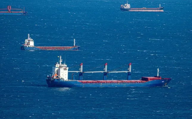 (Ảnh minh họa: Marine Insight)
