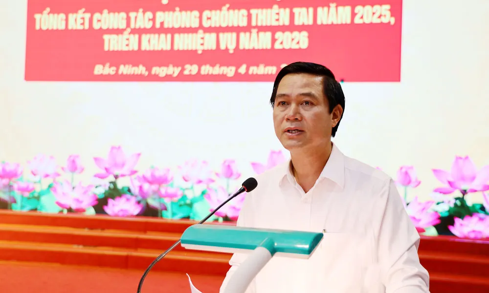 Bắc Ninh chủ động ph&ograve;ng, chống thi&ecirc;n tai từ sớm, từ xa - Ảnh 1.