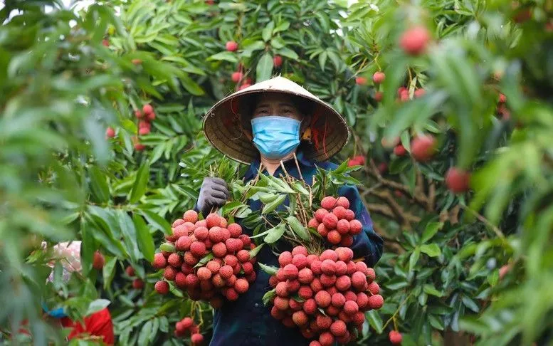 Ảnh minh họa. 