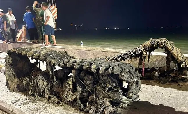 Trục vớt th&agrave;nh c&ocirc;ng xe tăng tại biển Quy Nhơn - Ảnh 1.
