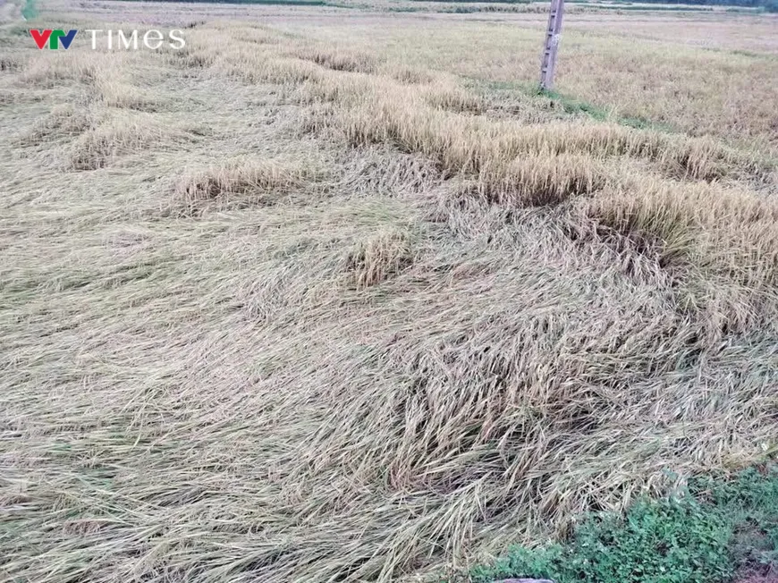 Điện Bi&ecirc;n: D&ocirc;ng lốc, mưa đ&aacute; g&acirc;y thiệt hại hơn 1 tỷ đồng  - Ảnh 2.