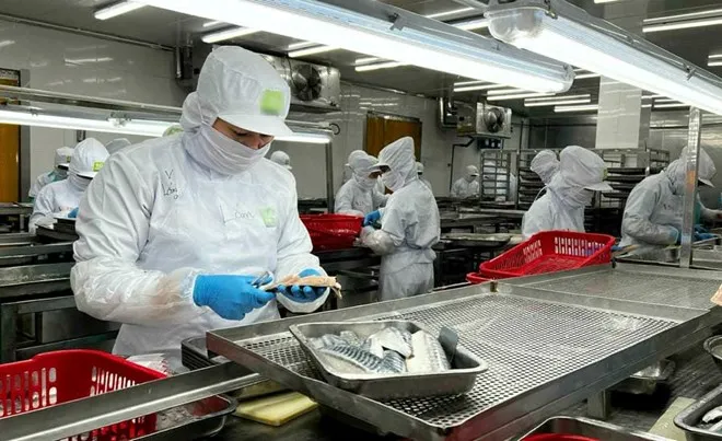 Doanh nghiệp cắt giảm chi ph&iacute; nhờ AI- Ảnh 1.