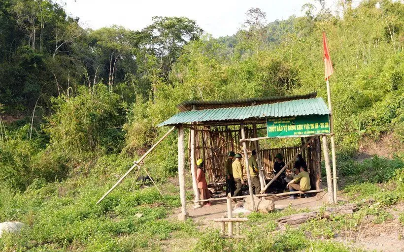 Ban Quản lý rừng phòng hộ Sêrêpốk lập chốt canh rừng tại vị trí từng xảy ra phá rừng thuộc tiểu khu 208-209. (Ảnh: Chu Quốc Hùng/TTXVN)