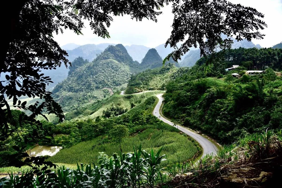 Kh&uacute;c giao hưởng đại ng&agrave;n N&agrave; Hẩu đ&aacute;nh thức m&ugrave;a h&egrave;- Ảnh 1.
