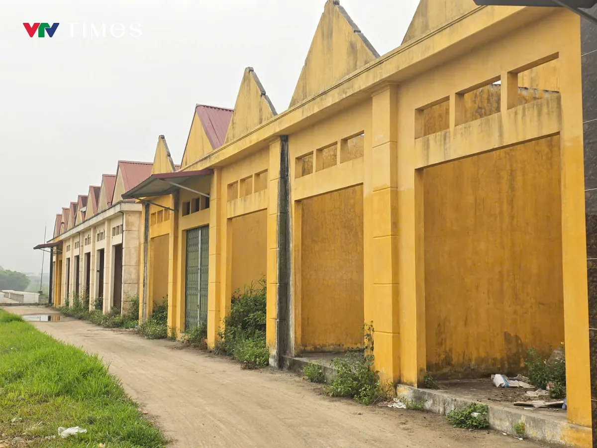 Phú Thọ: Chợ đầu tư tiền tỷ xây dựng gần 20 năm bỏ hoang - Ảnh 4.