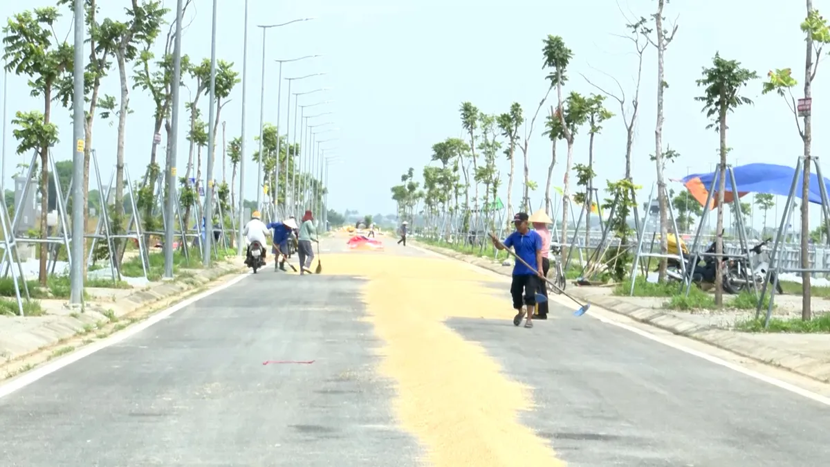 Mối hiểm nguy từ việc phơi l&uacute;a tr&ecirc;n c&aacute;c tuyến giao th&ocirc;ng- Ảnh 2.