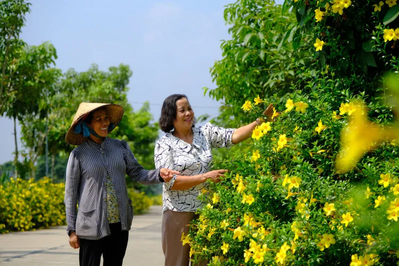 Festival Hoa Đà Lạt 2026 sẽ diễn ra với nhiều hoạt động đặc sắc
- Ảnh 2. Festival Hoa Đà Lạt 2026 sẽ diễn ra với nhiều hoạt động đặc sắc
- Ảnh 2.