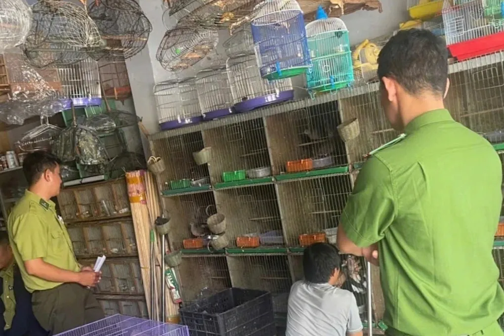 Quảng Ng&atilde;i ph&aacute;t hiện nhiều cơ sở nu&ocirc;i nhốt động vật hoang d&atilde; tr&aacute;i ph&eacute;p- Ảnh 1.