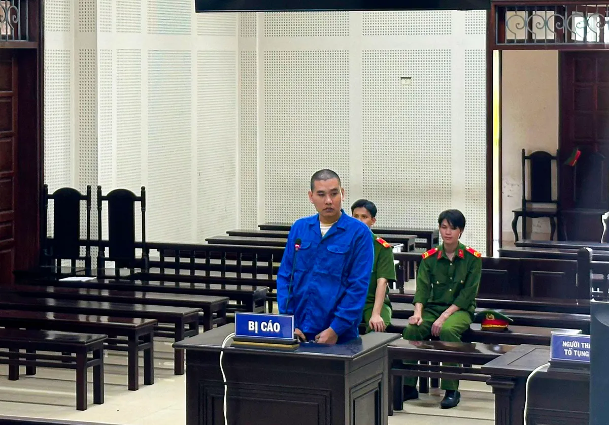 Thuê xe đi cầm cố, một bị cáo nhận mức án 13 năm tù - Ảnh 1.
