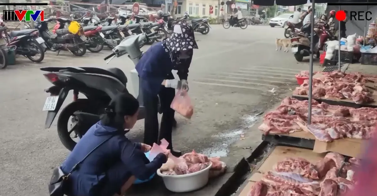 Th&acirc;m nhập cơ sở giết mổ chuy&ecirc;n thu gom lợn ốm, chết, kh&ocirc;ng kiểm dịch ở Ninh B&igrave;nh - Ảnh 3.