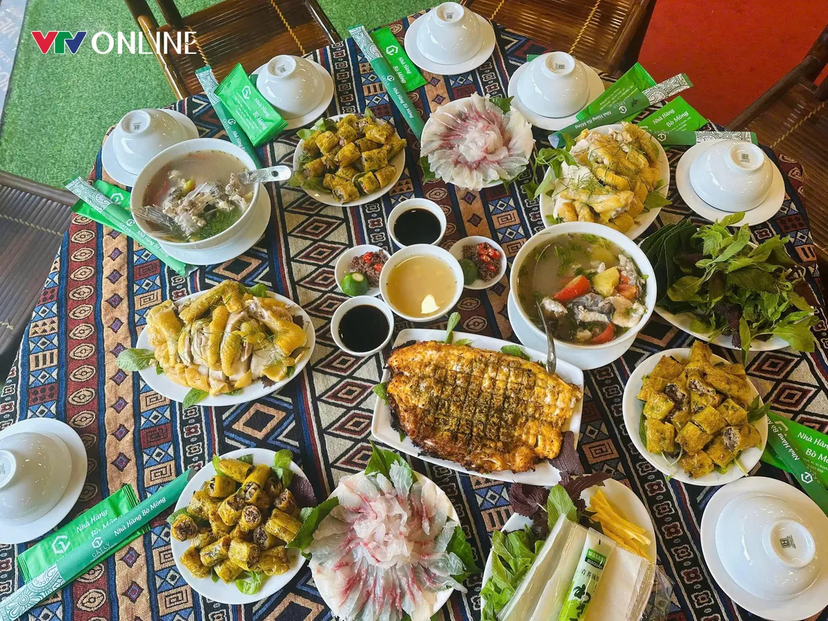 Thuận H&ograve;a (Tuy&ecirc;n Quang): Định vị gi&aacute; trị từ bước đi bền vững - Ảnh 9.