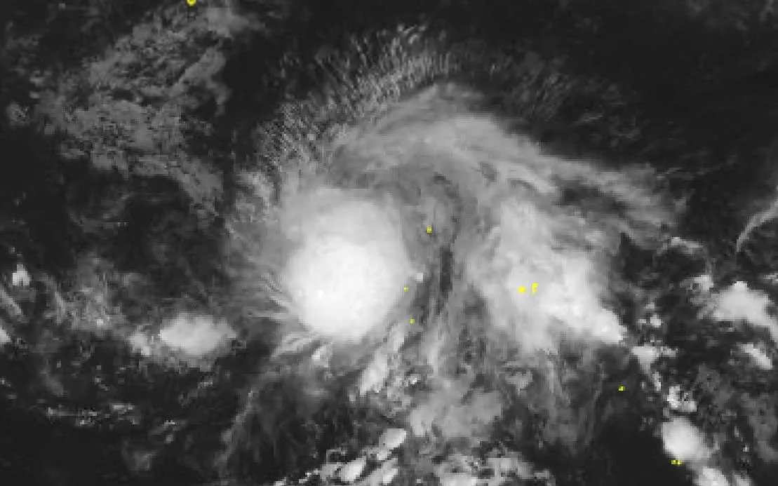 Hình ảnh bão Hagupit qua vệ tinh - Cục Khí tượng Nhật Bản (JMA)