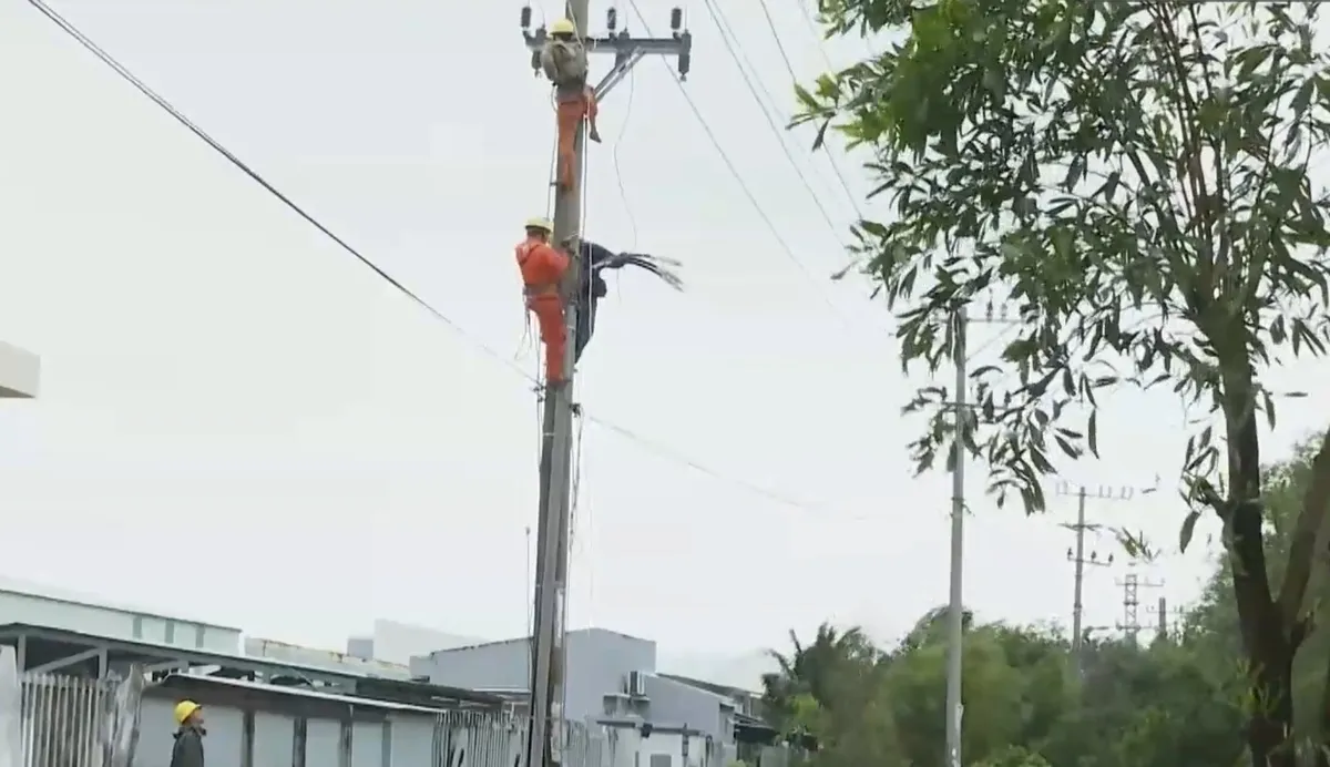 Điện lực Đắk Lắk: N&acirc;ng cao hiệu quả c&ocirc;ng t&aacute;c an to&agrave;n vệ sinh lao động trong kỷ nguy&ecirc;n số- Ảnh 2.