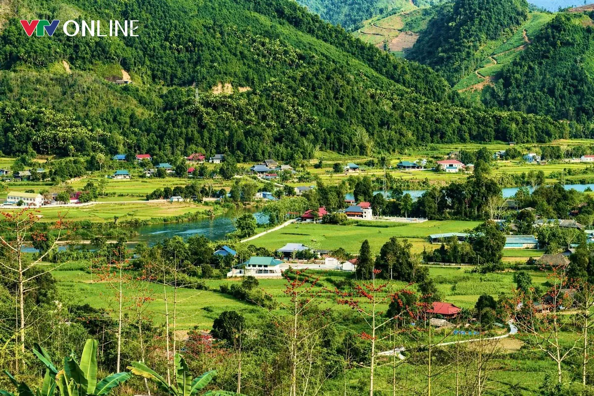 Thuận H&ograve;a (Tuy&ecirc;n Quang): Định vị gi&aacute; trị từ bước đi bền vững - Ảnh 4.