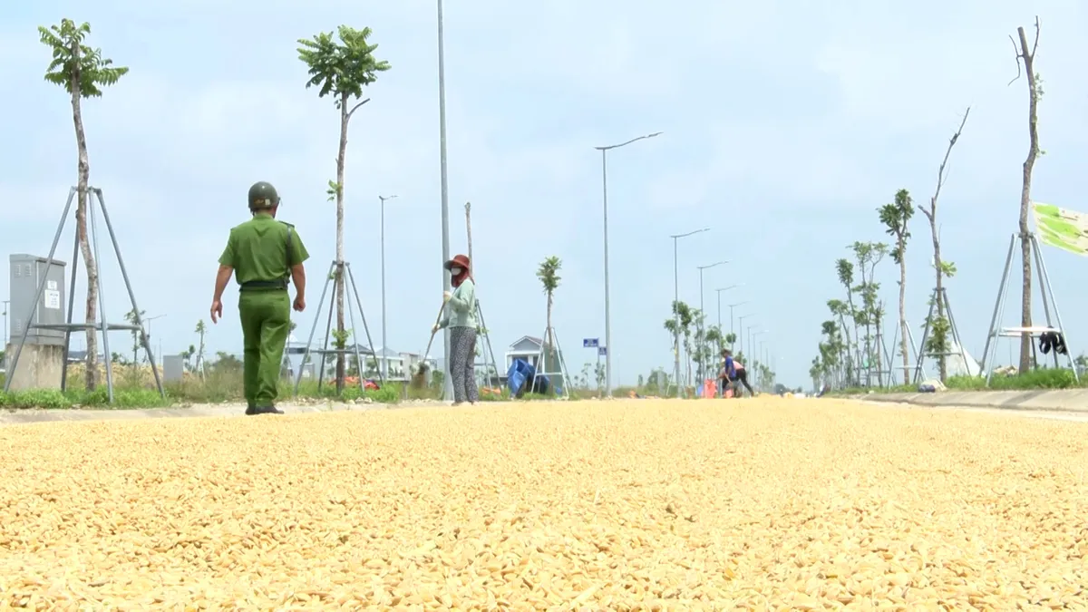 Mối hiểm nguy từ việc phơi l&uacute;a tr&ecirc;n c&aacute;c tuyến giao th&ocirc;ng- Ảnh 3.