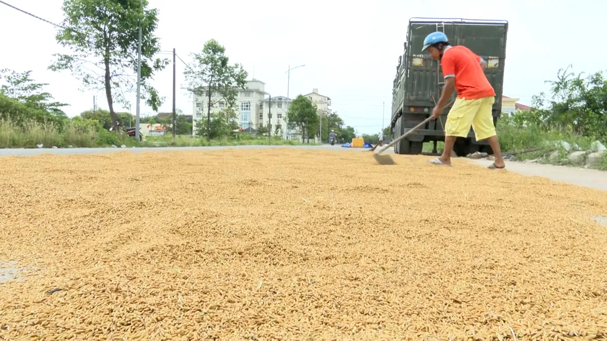 Mối hiểm nguy từ việc phơi l&uacute;a tr&ecirc;n c&aacute;c tuyến giao th&ocirc;ng- Ảnh 1.