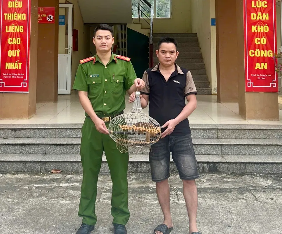 Thả 1 c&aacute; thể t&ecirc; t&ecirc; qu&yacute; hiếm về m&ocirc;i trường tự nhi&ecirc;n- Ảnh 1.