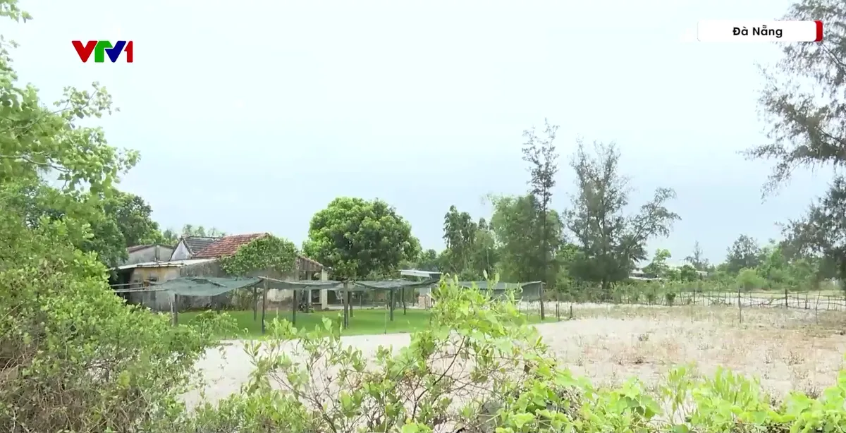 Gần 30 năm mòn mỏi chờ đợi dự án Làng Đại học Đà Nẵng - Ảnh 1.