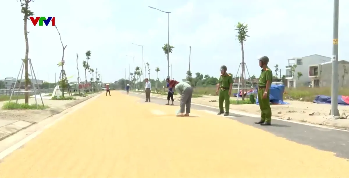 TP Huế: Tiềm ẩn nguy cơ tai nạn từ việc phơi lúa trên đường giao thông - Ảnh 2.