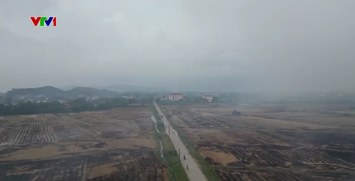 B&aacute;o động t&igrave;nh trạng &ocirc; nhiễm m&ocirc;i trường do đốt rơm rạ sau thu hoạch - Ảnh 2.