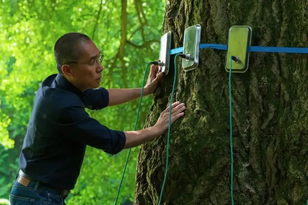 Lối sống kh&aacute;c lạ của Lương Triều Vỹ: tắt điện thoại, trốn trong nh&agrave; cuối tuần - Ảnh 1.