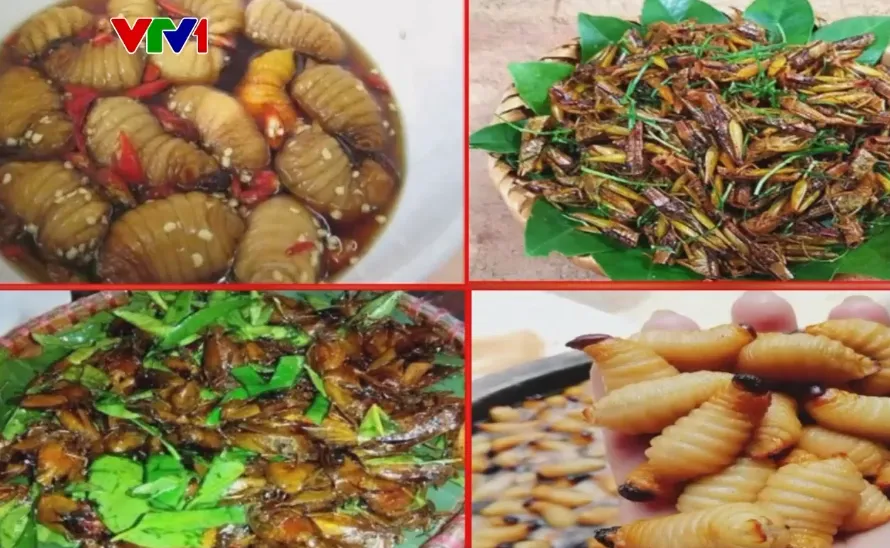 Nguy cơ ngộ độc sau khi ăn c&ocirc;n tr&ugrave;ng - Ảnh 1.