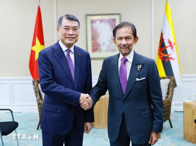 Triển khai hiệu quả quan hệ Đối t&aacute;c to&agrave;n diện Việt Nam - Brunei- Ảnh 1.