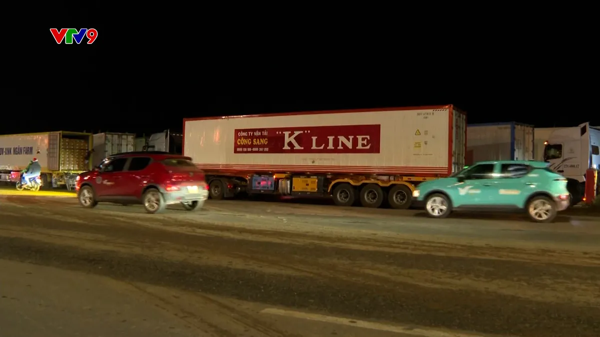Hàng trăm xe container chở sầu riêng xếp hàng chờ kiểm nghiệm