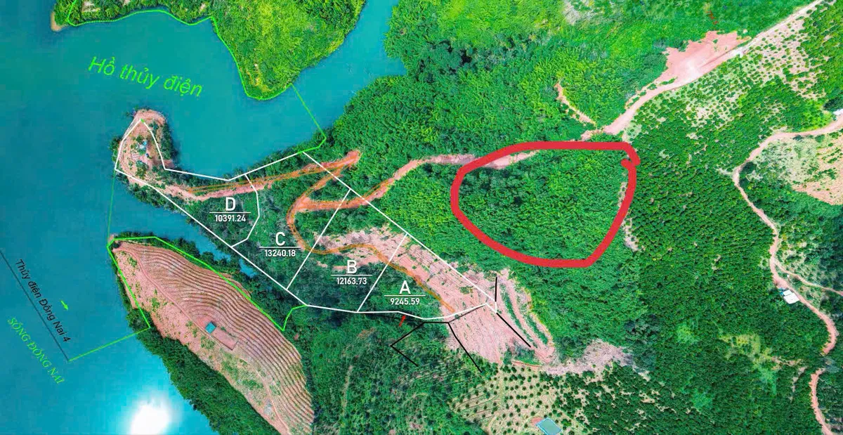 Tin vui cho người mua "đất giấy tay" trước 2024- Ảnh 1.