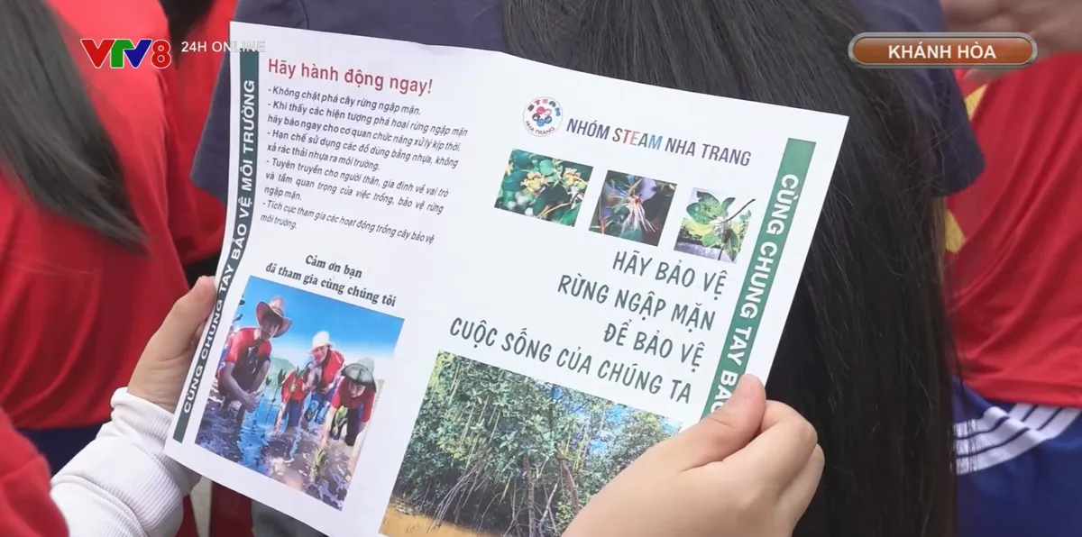 Gieo mầm xanh tr&ecirc;n rừng ngập mặn- Ảnh 1.