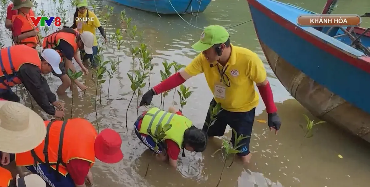 Gieo mầm xanh tr&ecirc;n rừng ngập mặn- Ảnh 2.