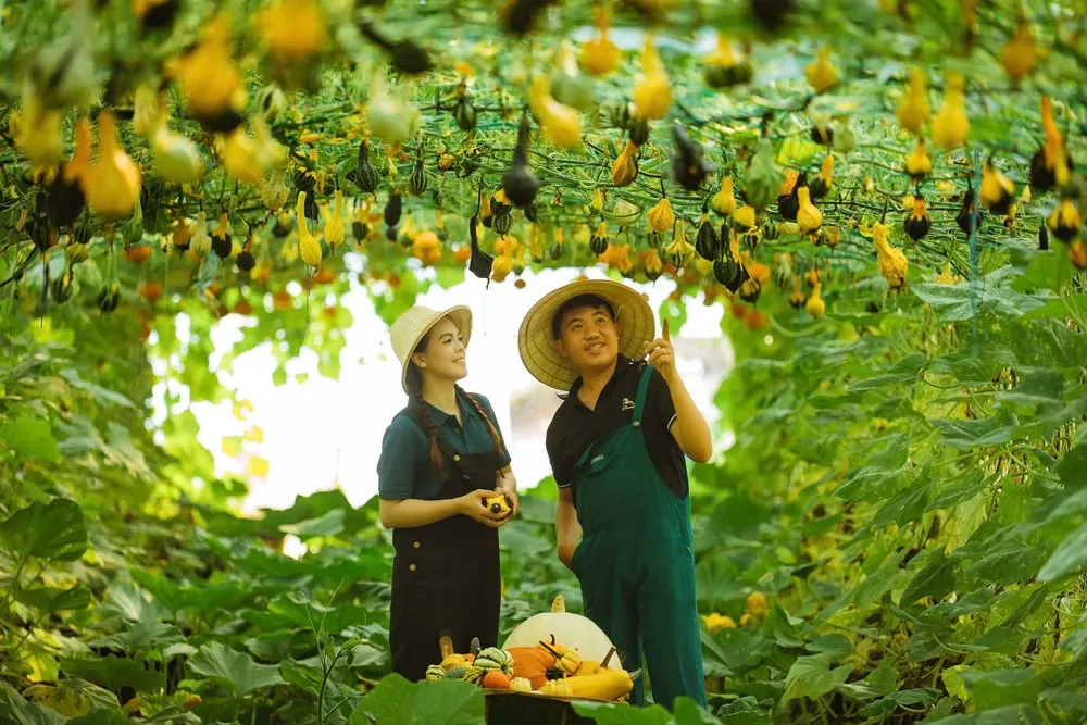 Du lịch Quảng Ng&atilde;i tăng trưởng mạnh, doanh thu v&agrave; lượng kh&aacute;ch đều bứt ph&aacute;- Ảnh 2.
