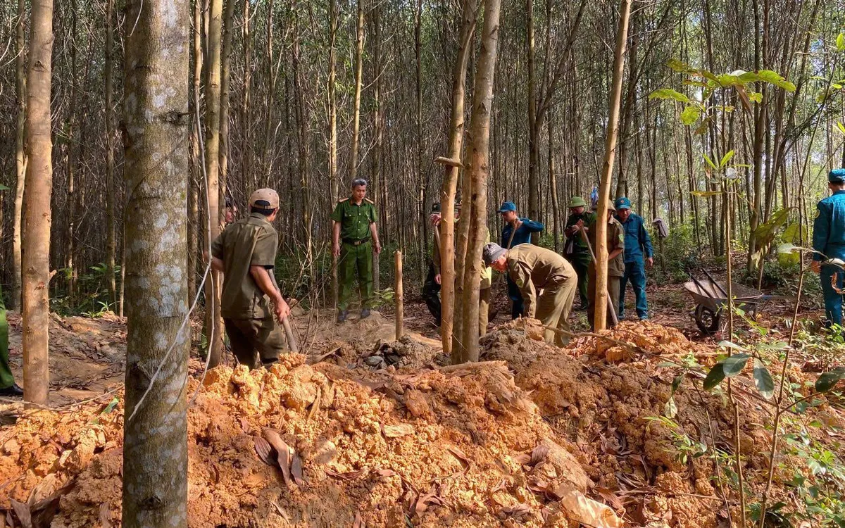 Lực lượng chức năng tiến hành san lấp các hố đào khai thác vàng trái phép.