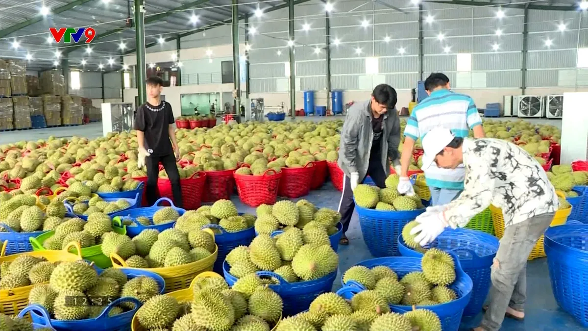 pnhn-0905-6 6.jpg
