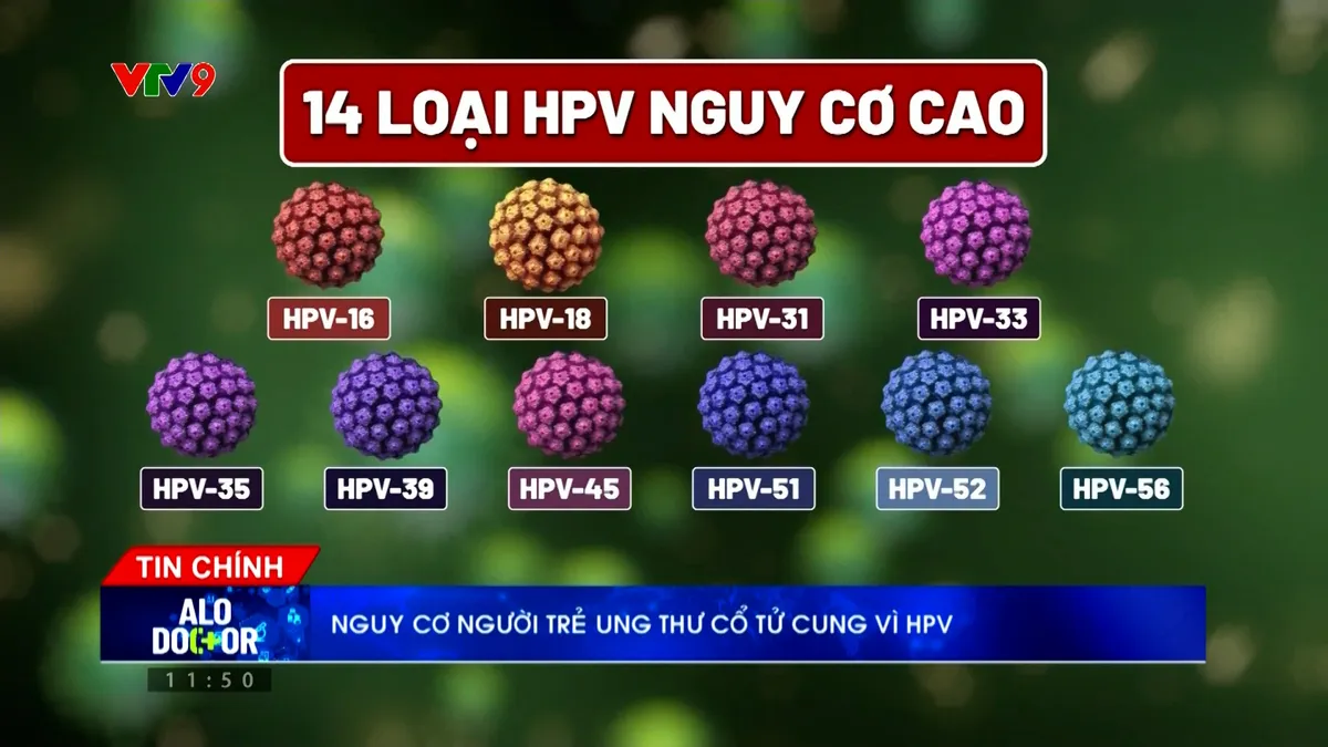 Alo Doctor (09/5/2026): Nguy cơ lây lan virus Hanta mở mức thấp