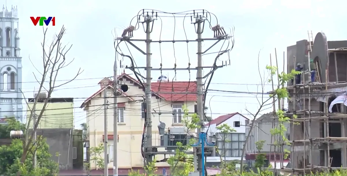 Ninh B&igrave;nh: Người d&acirc;n khu d&acirc;n cư tập trung m&ograve;n mỏi chờ điện sinh hoạt - Ảnh 1.