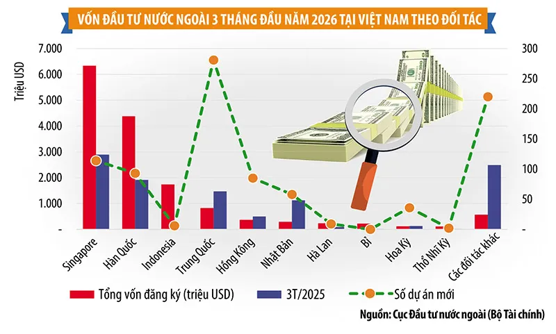 TP. Hồ Ch&iacute; Minh sắp khởi c&ocirc;ng cầu hầm Cần Giờ-Vũng T&agrave;u; Ninh B&igrave;nh dồn lực cho hạ tầng giao th&ocirc;ng 19.000 tỷ đồng- Ảnh 2.