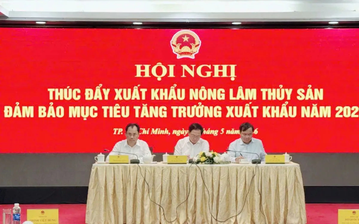 Xuất khẩu rau quả 2026: Tăng trưởng 22% và áp lực chuẩn hóa từ "vùng trồng" đến "cửa khẩu"- Ảnh 1. Xuất khẩu rau quả 2026: Tăng trưởng 22% và áp lực chuẩn hóa từ "vùng trồng" đến "cửa khẩu"- Ảnh 1.