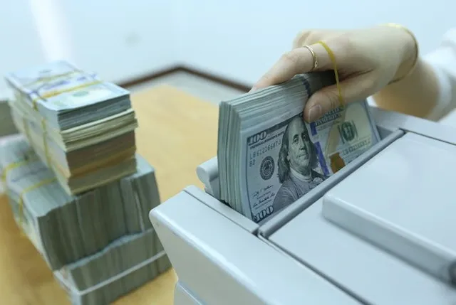 USD trong nước gần như đi ngang cả tuần, euro và yen Nhật đồng loạt tăng giá- Ảnh 1. USD trong nước gần như đi ngang cả tuần, euro và yen Nhật đồng loạt tăng giá- Ảnh 1.