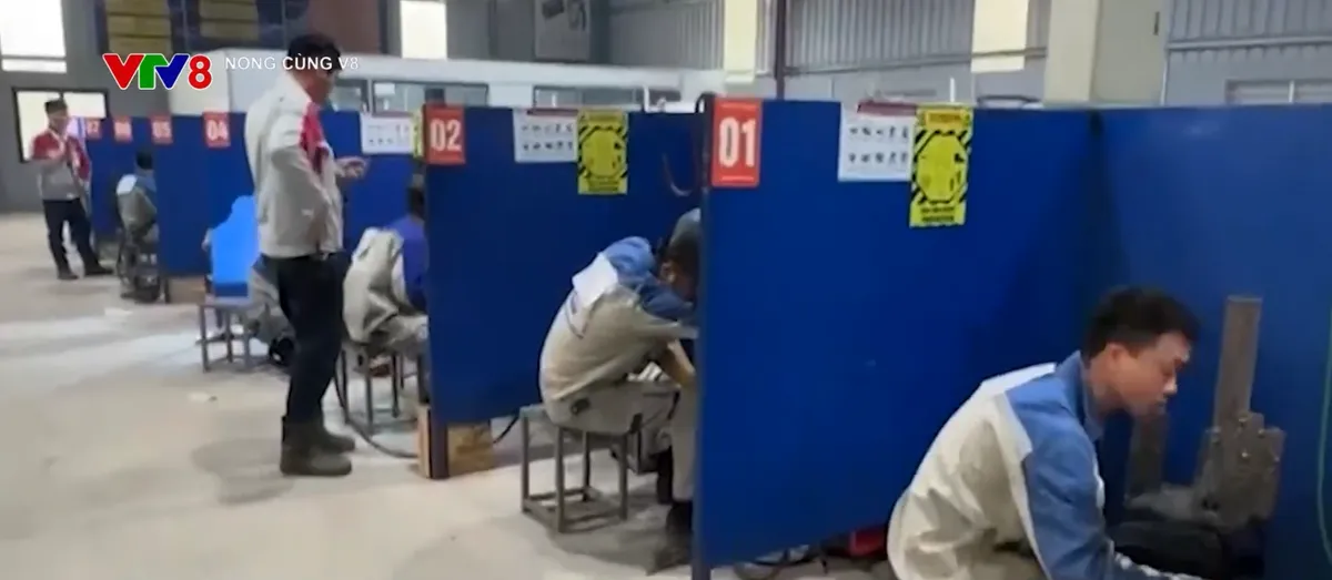 Cần “làm sạch” các dự án xuất khẩu lao động của nhà nước- Ảnh 5. Cần “làm sạch” các dự án xuất khẩu lao động của nhà nước- Ảnh 5.